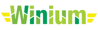 Winium.Desktop is Selenium Remote WebDriver implementation for automated testing of Windows application based on WinForms and WPF platforms