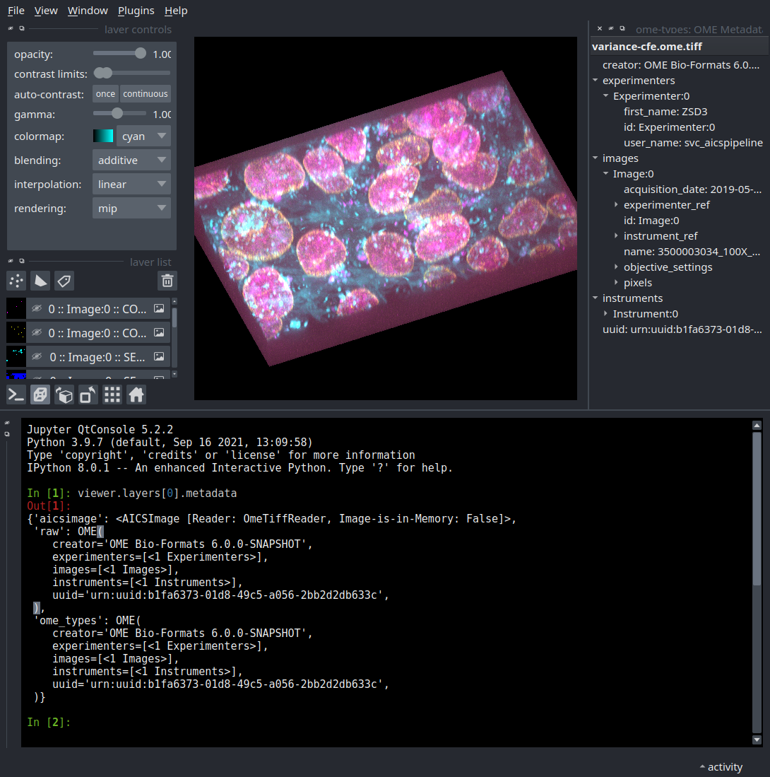 napari viewer with console open showing viewer.layers[0].metadata