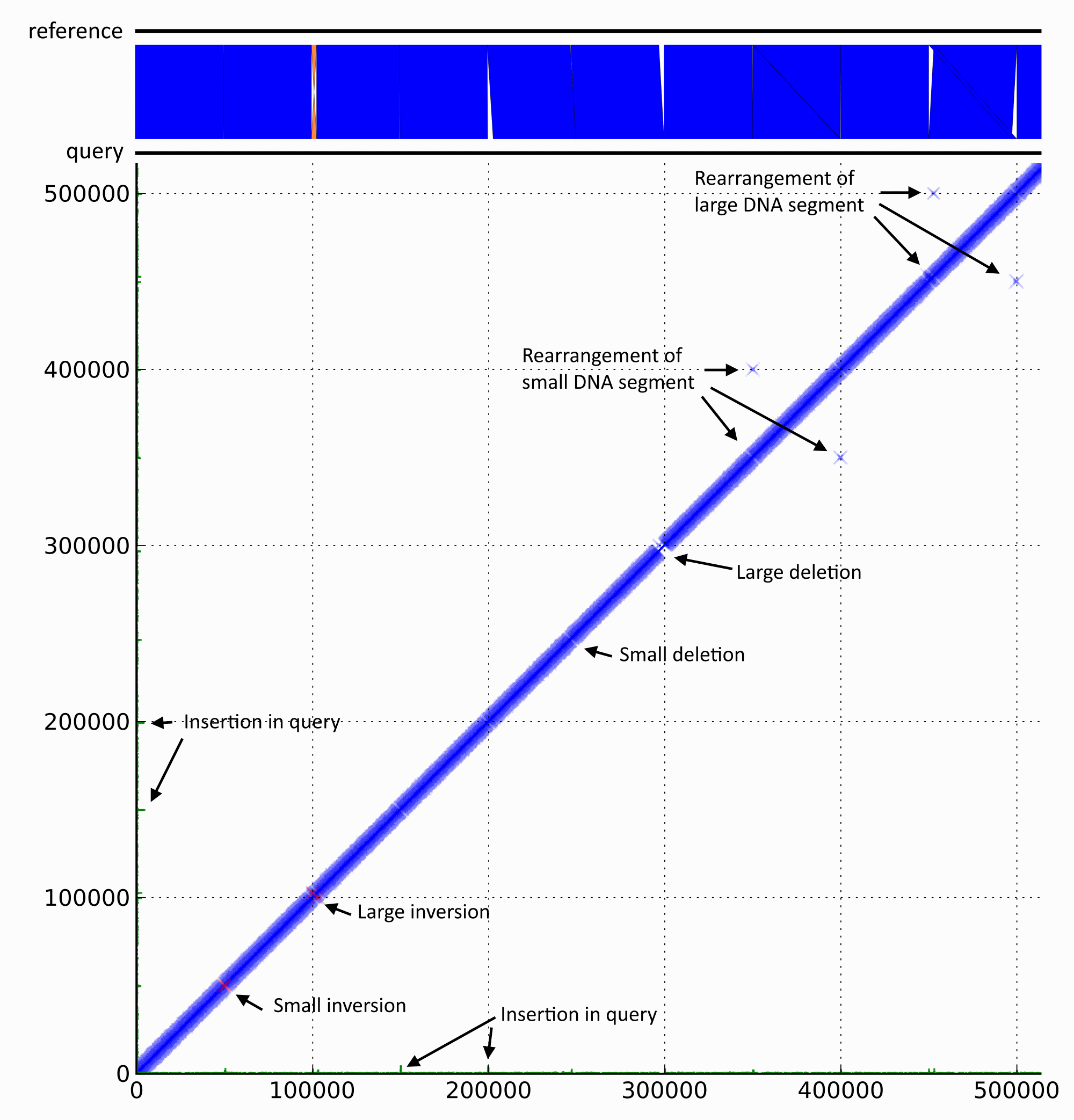 DiscoPlot figure