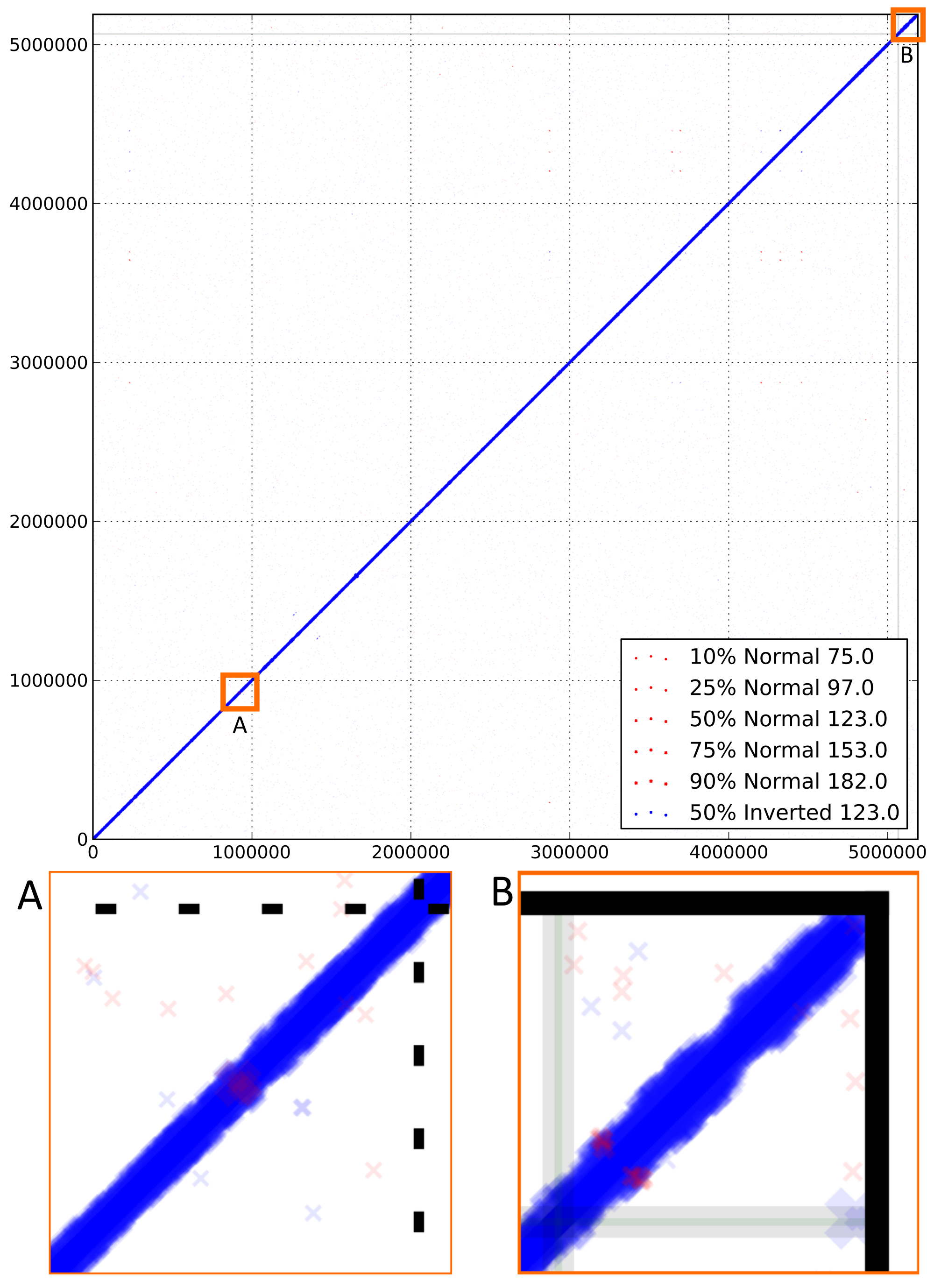 DiscoPlot of E. coli genome