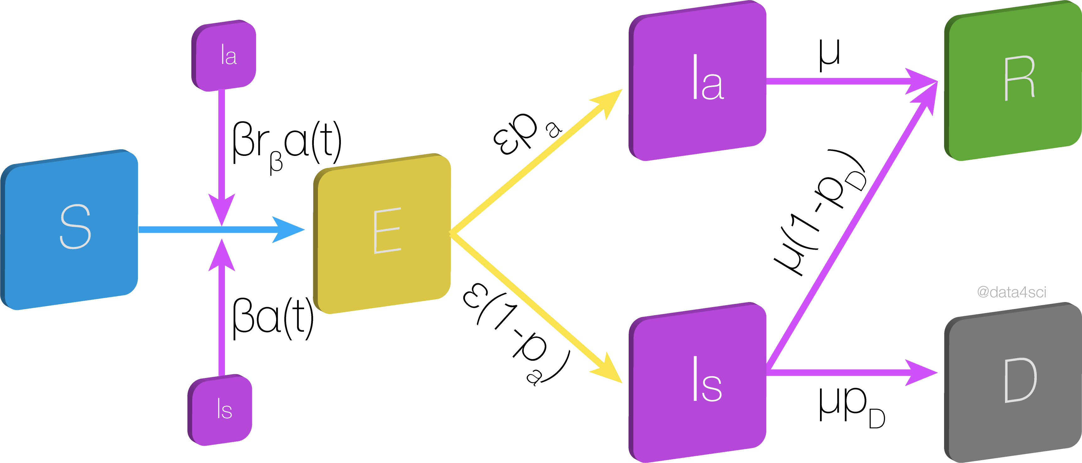 Multipopulation model