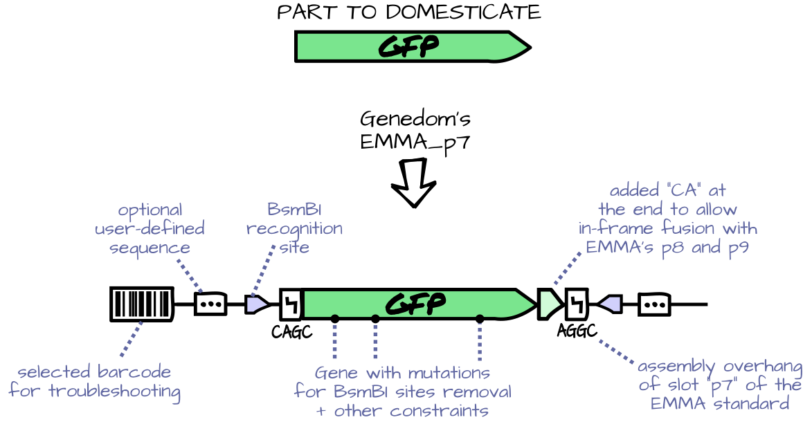 schema