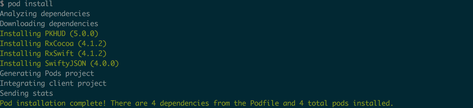 Pod Install Output