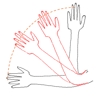 VectorLinear