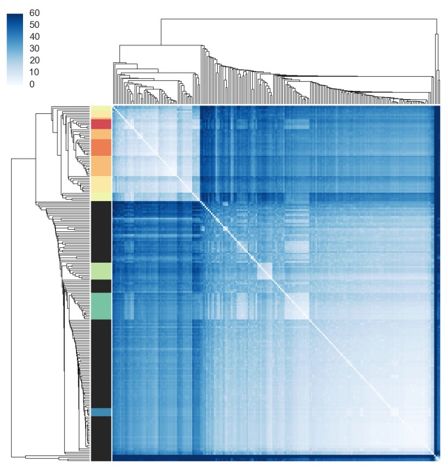 https://raw.githubusercontent.com/NBISweden/IgDiscover/main/doc/clusterplot.jpeg