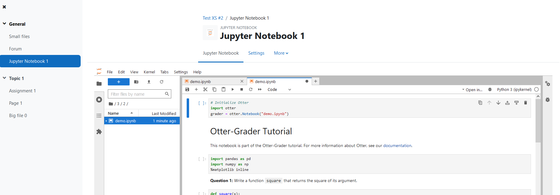 Screenshot showing the embedded Notebook.