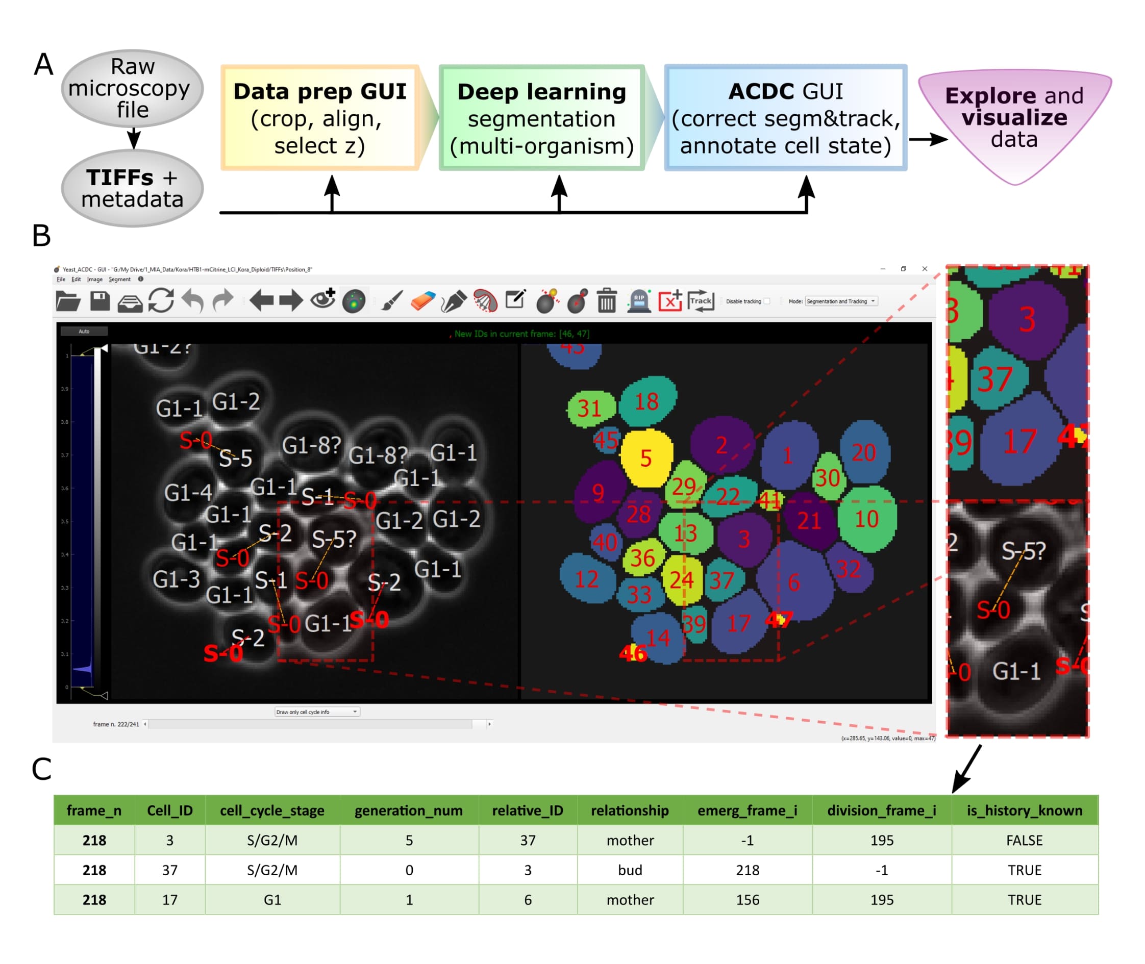 Overview of pipeline and GUI