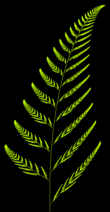 Barnsley Fern