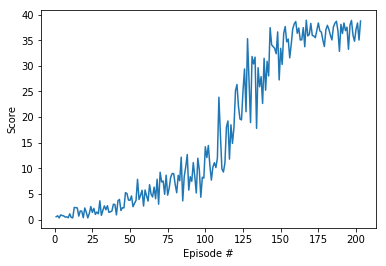 Plot of rewards