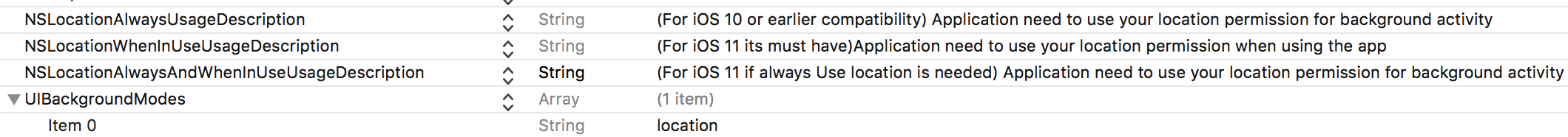 Setting the keys in info.plist