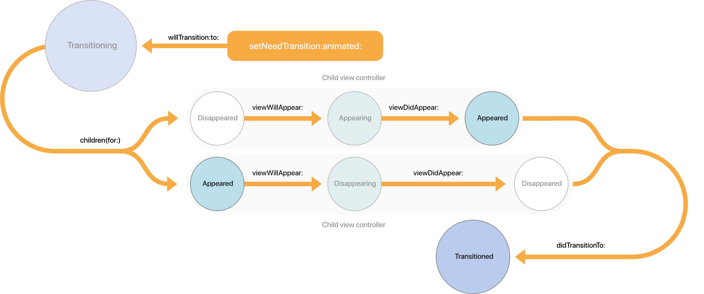 Between appearance cycle