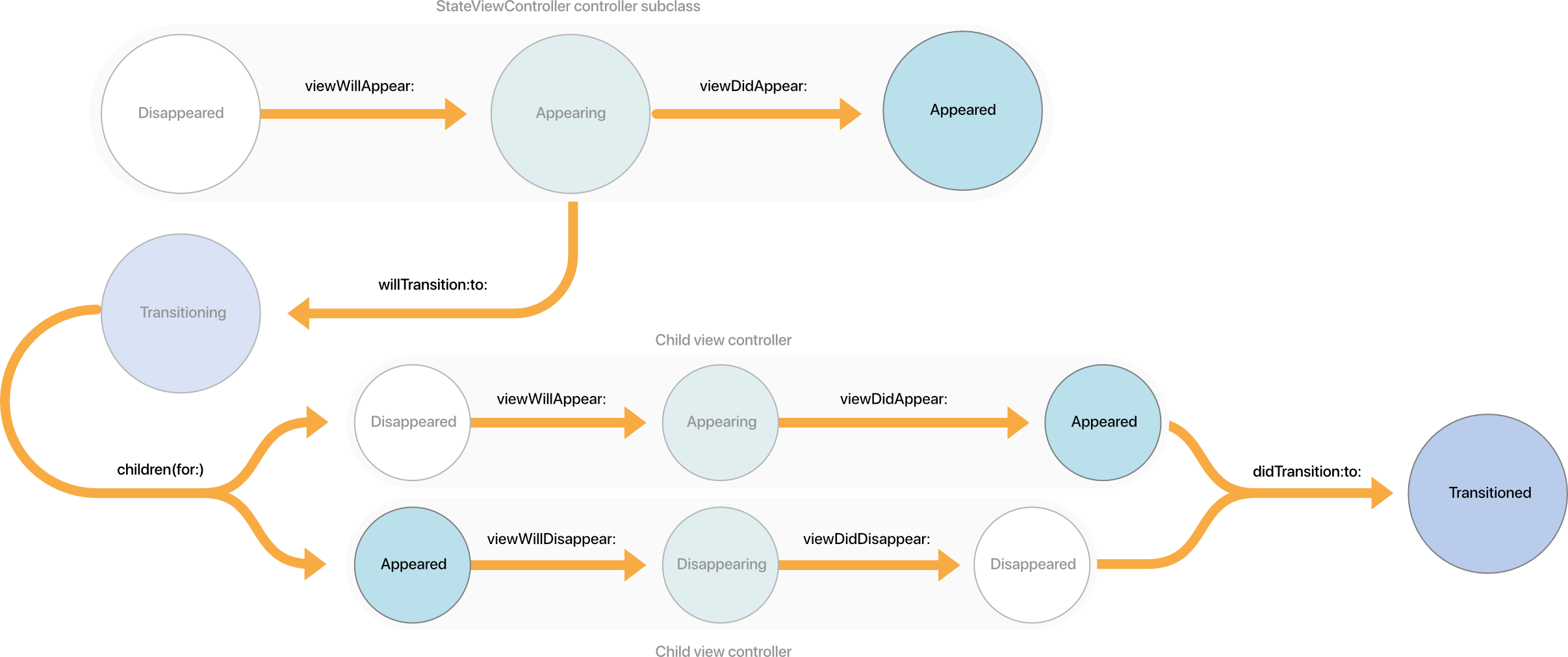 During appearance cycle