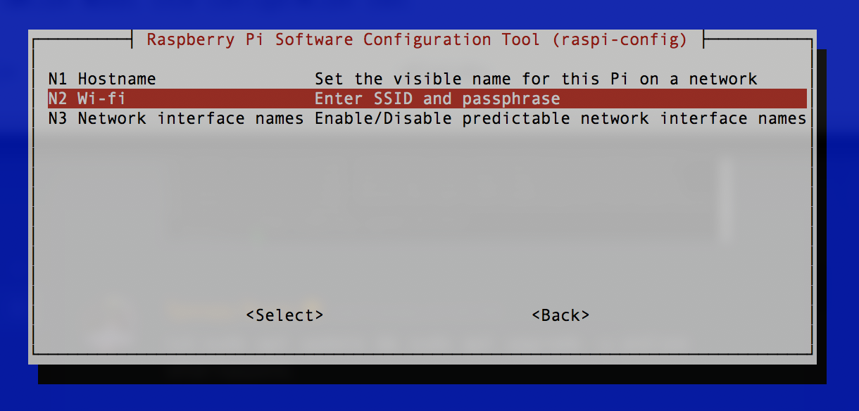 raspi-config networking options screen