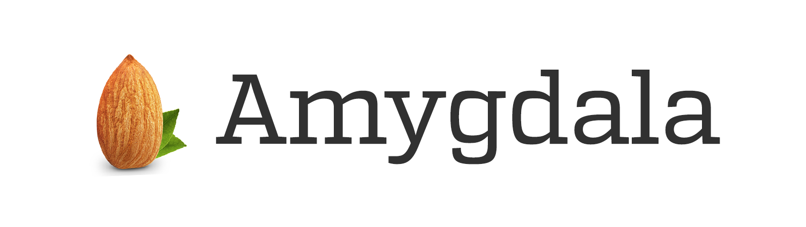 Amygdala logo