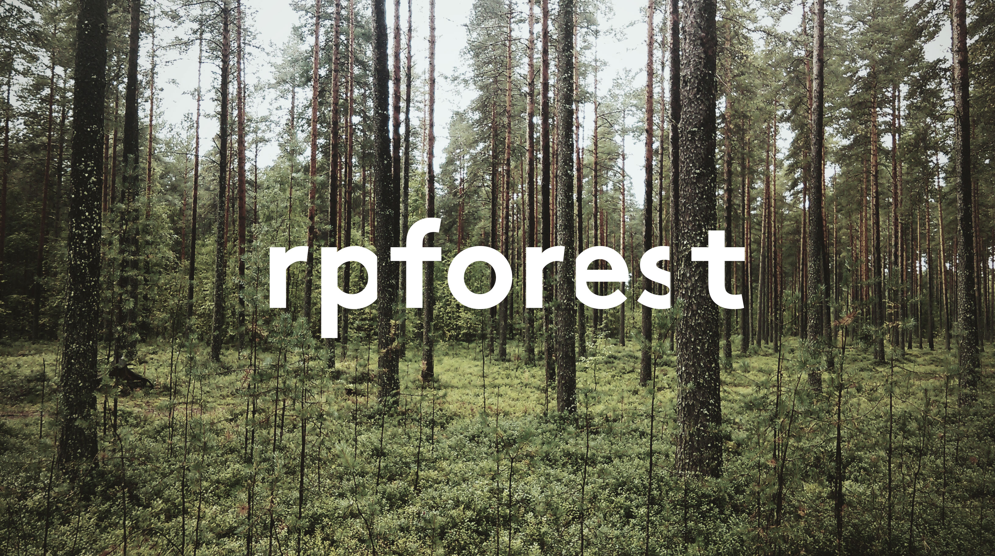 rpforest