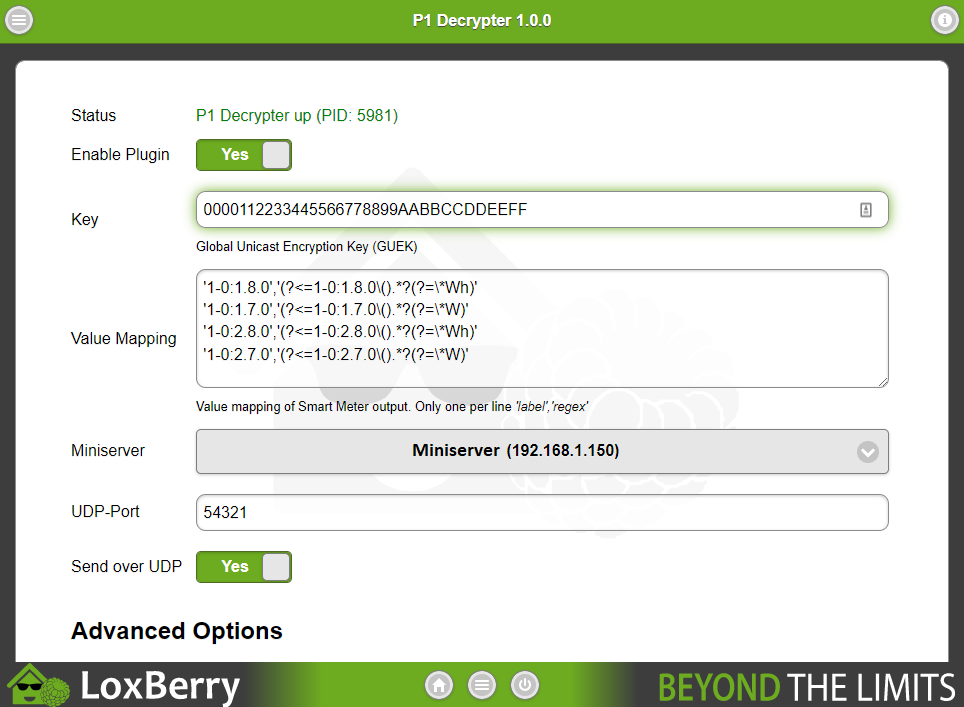 P1 Decrypter Plugin