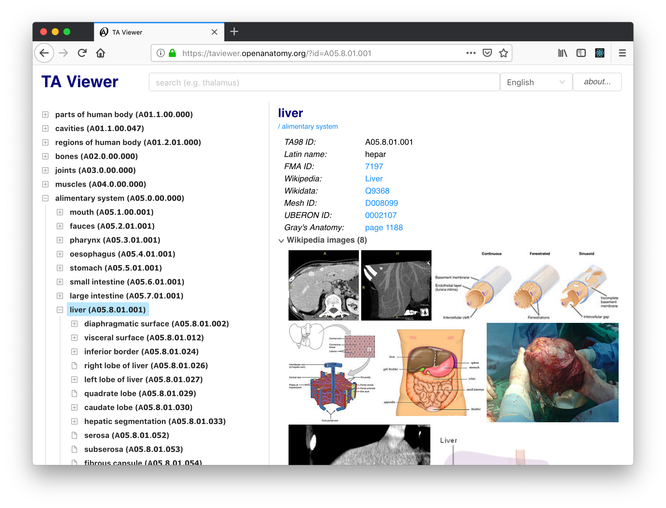 TAViewer Screenshot