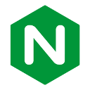 Nginx Logo