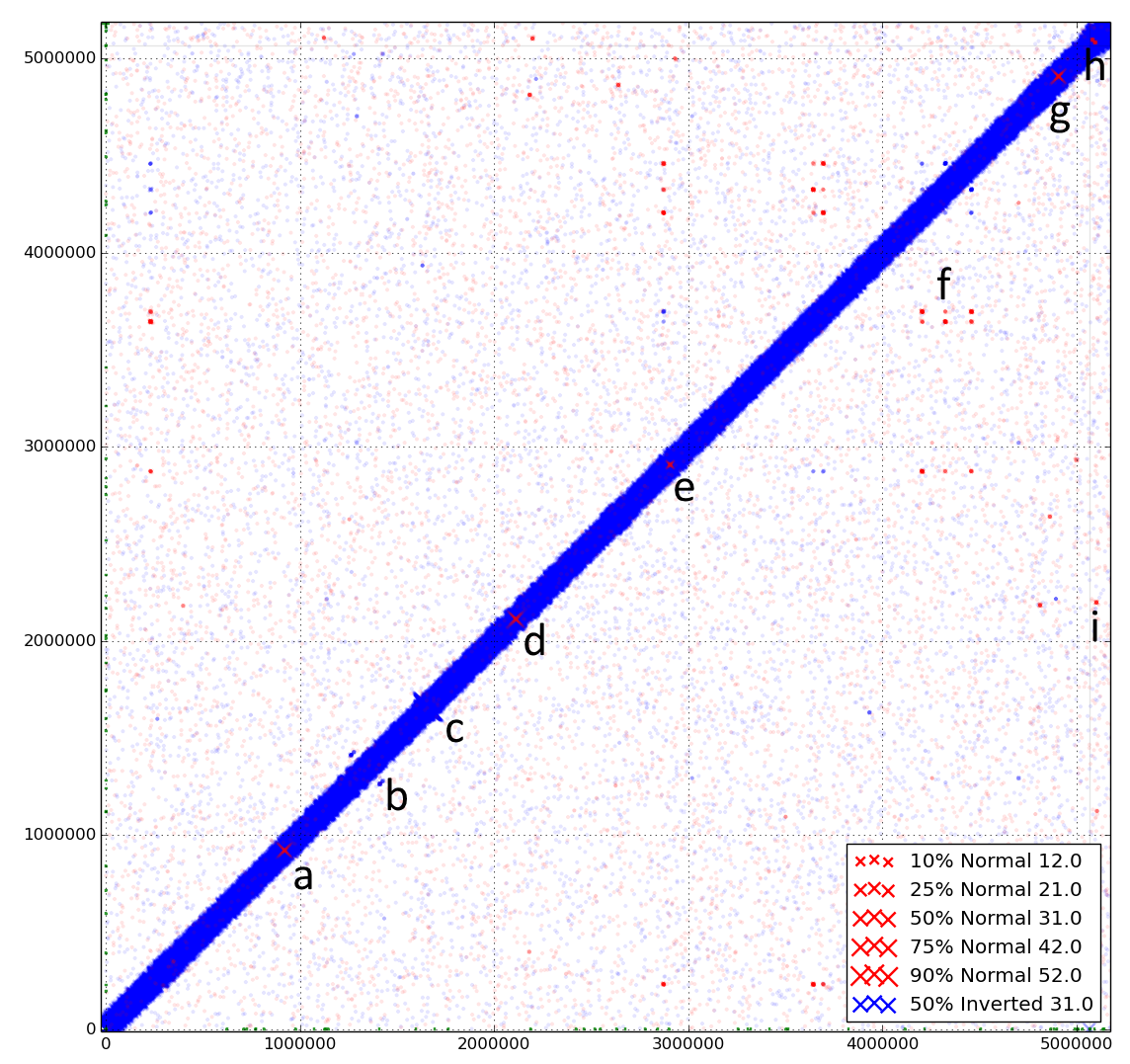 DiscoPlot of E. coli genome