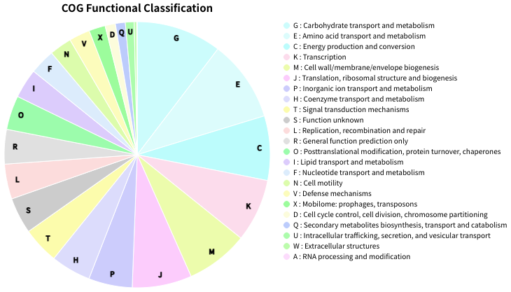 ecoli_piechart_sort_fig