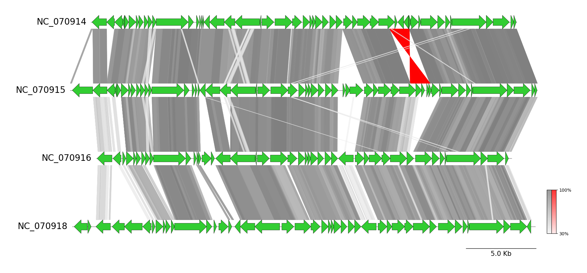 genbank_comparison_by_blast.png