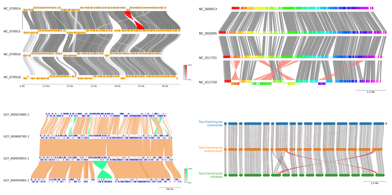 pygenomeviz_gallery.png