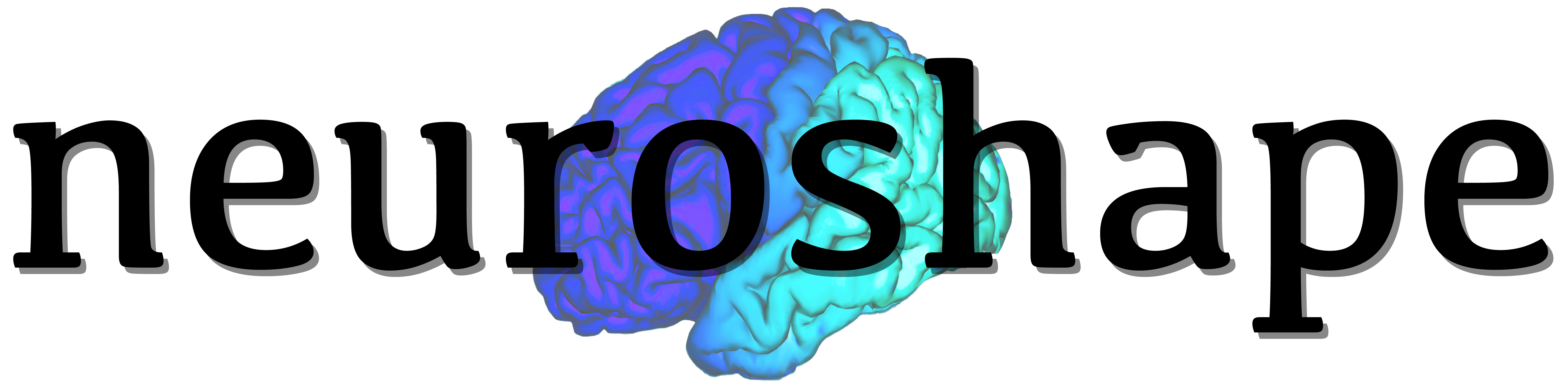 https://raw.githubusercontent.com/nikitas-k/neuroshape-dev/main/docs/_static/neuroshape_logo.png?sanitize=true