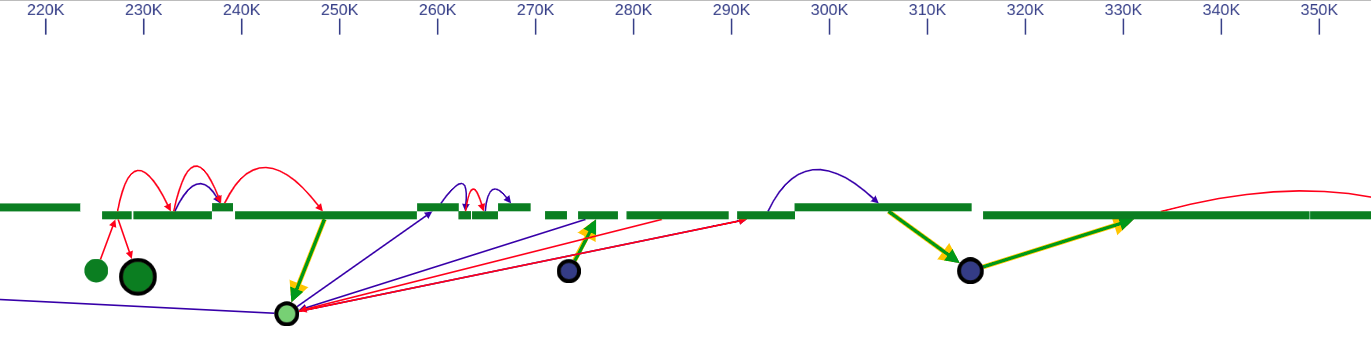 Genome browser layout