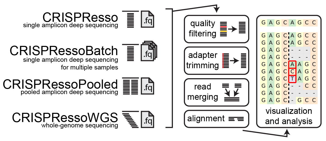 CRISPResso2 Schematic