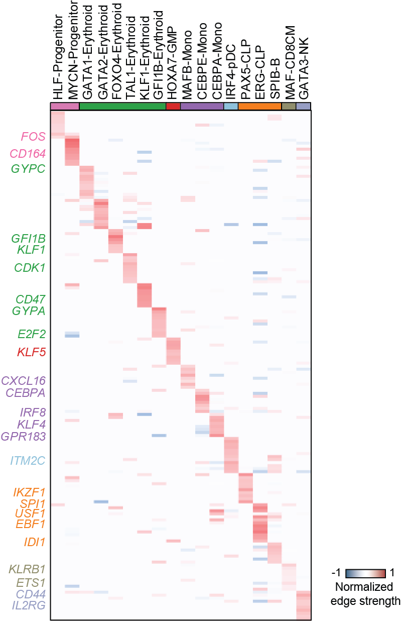 https://raw.githubusercontent.com/pinellolab/dictys/master/doc/images/Global_heatmap.png