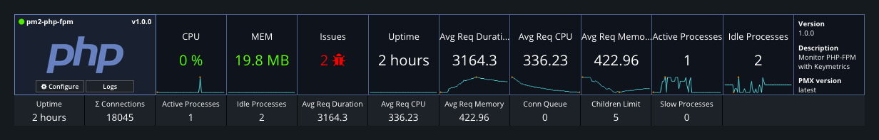 pm2-php-fpm screenshot