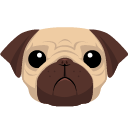 pug