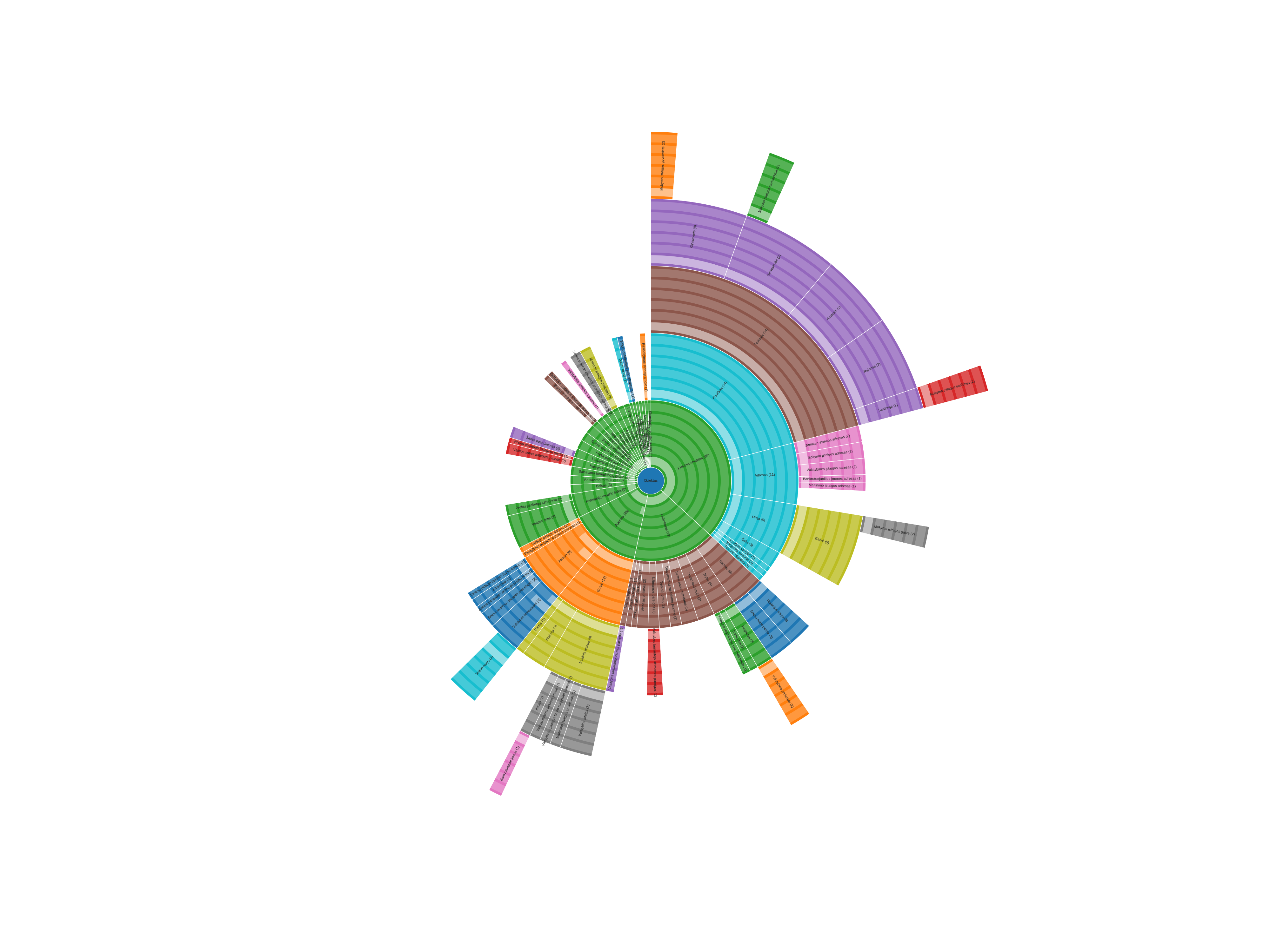 Atvirų duomenų progreso sunburst diagrama.