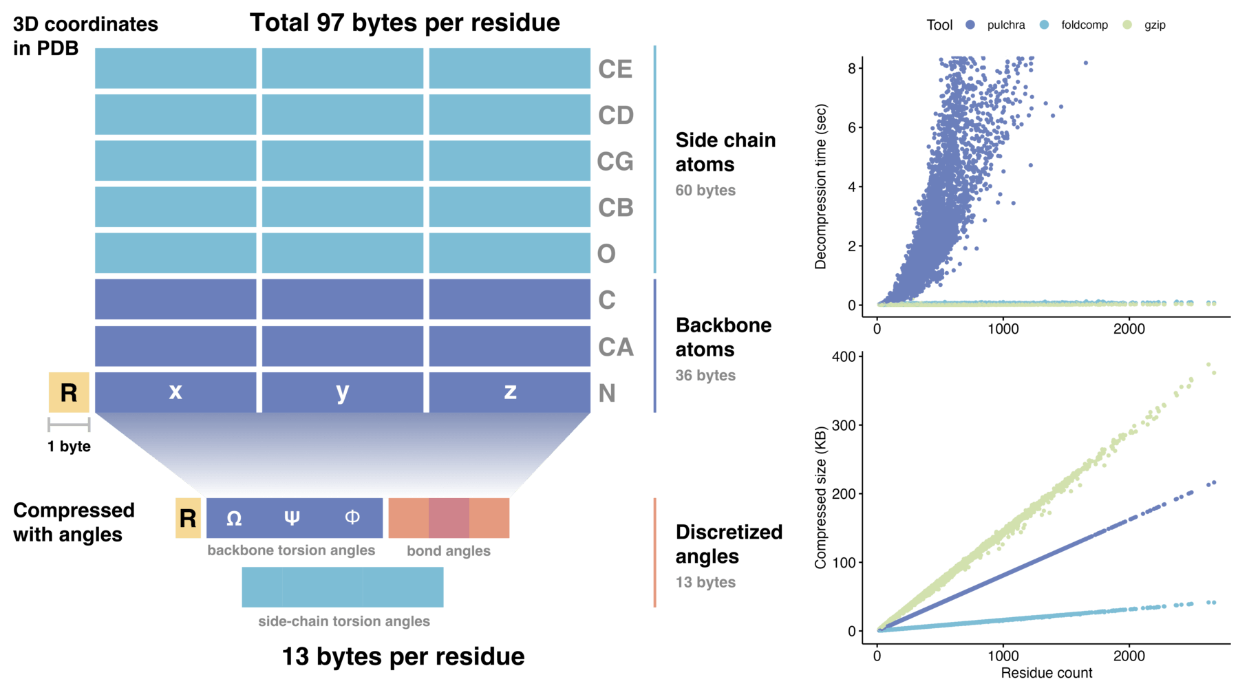 Left panel: Foldcomp data format, saving amino acid residue in 13 byte. Top right panel:  Foldcomp decompression is as fast as gzip. Bottom right panel: Foldcomp compression ratio is higher than pulchra and gzip.