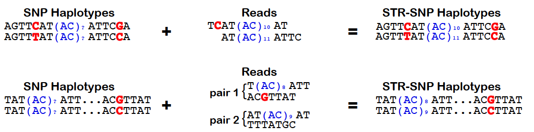 Phasing schematic!