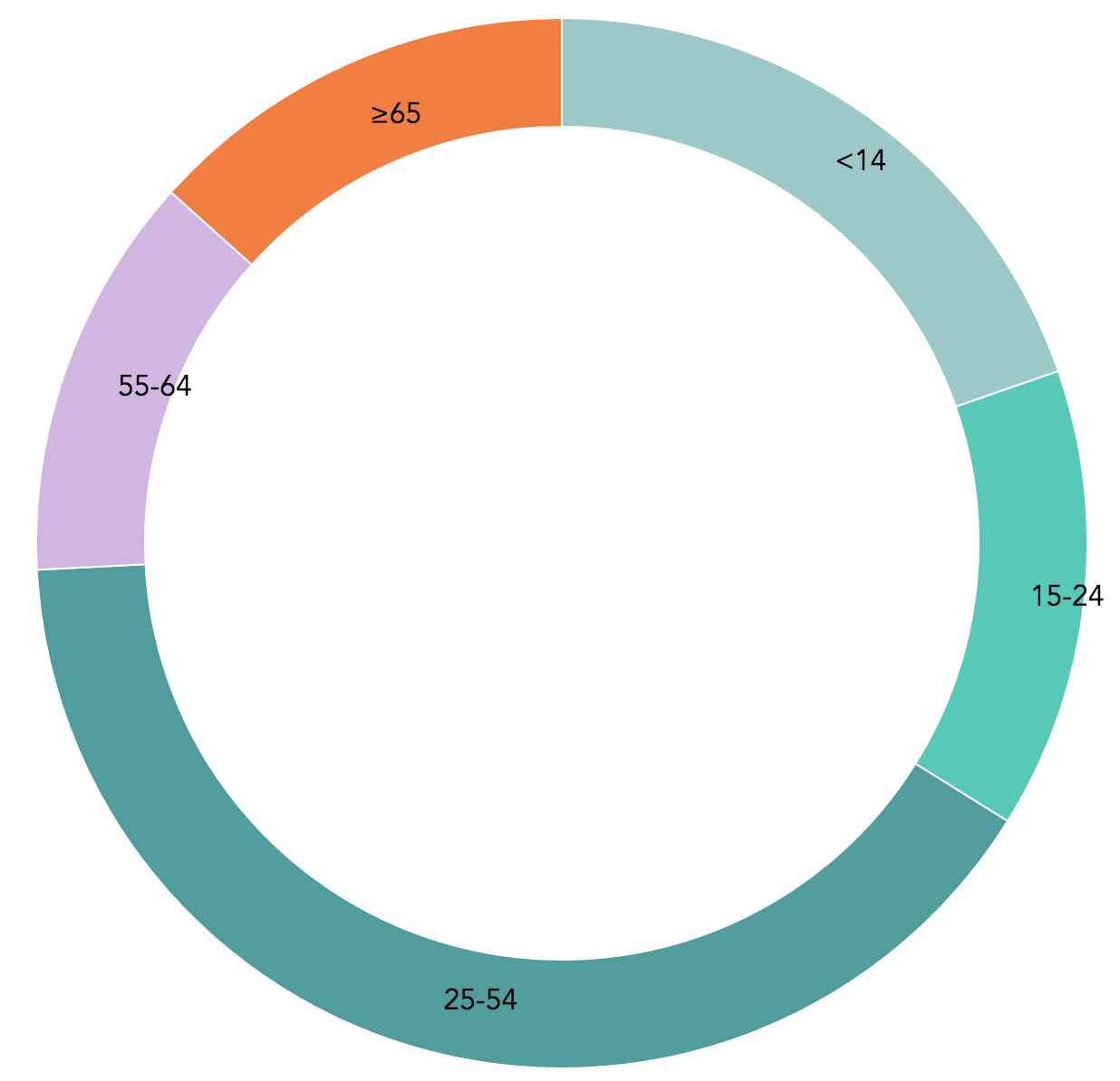 US Population Age Group Donut Chart