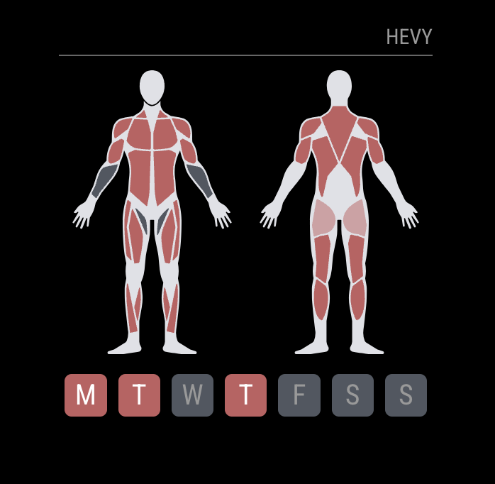 Muscle Split