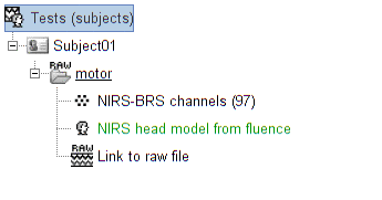 head model parameters